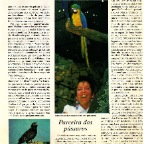 TT AVES